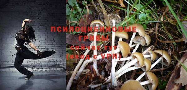 скорость Баксан